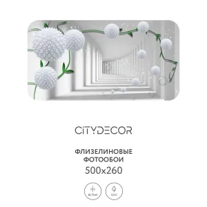 Фотообои рулонные Citydecor Абстракция 201 на флизелиновой основе 500x260 см