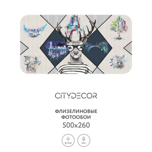 Фотообои рулонные Citydecor Абстракция 212 на флизелиновой основе 500x260 см