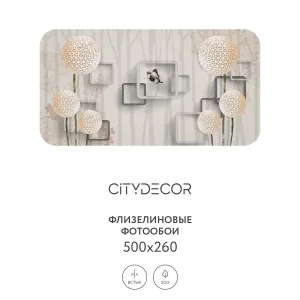 Фотообои рулонные Citydecor Абстракция 22 на флизелиновой основе 500x260 см