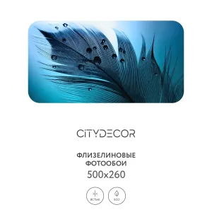 Фотообои рулонные Citydecor Абстракция 230 на флизелиновой основе 500x260 см Фотообои рулонные Citydecor Абстракция 230 на флизелиновой основе 500x260 см