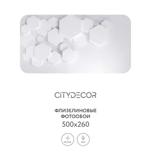 Фотообои рулонные Citydecor Абстракция 232 на флизелиновой основе 500x260 см
