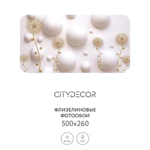 Фотообои рулонные Citydecor Абстракция 33 на флизелиновой основе 500x260 см