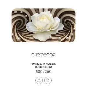 Фотообои рулонные Citydecor Абстракция 35 на флизелиновой основе 500x260 см