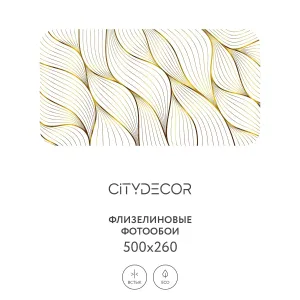 Фотообои рулонные Citydecor Абстракция 383 на флизелиновой основе 500x260 см