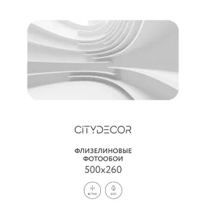 Фотообои рулонные Citydecor Абстракция 388 на флизелиновой основе 500x260 см