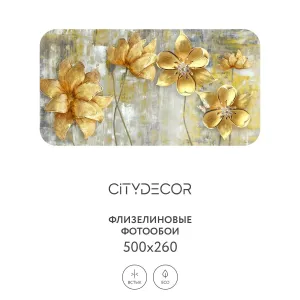 Фотообои рулонные Citydecor Абстракция 40 на флизелиновой основе 500x260 см