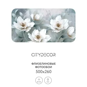 Фотообои рулонные Citydecor Абстракция 41 на флизелиновой основе 500x260 см
