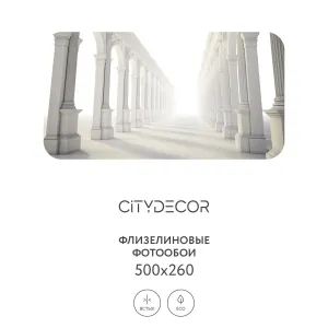 Фотообои рулонные Citydecor Абстракция 53 на флизелиновой основе 500x260 см
