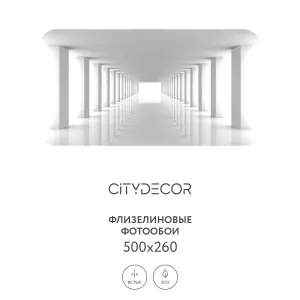 Фотообои рулонные Citydecor Абстракция 55 на флизелиновой основе 500x260 см
