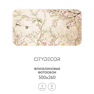 Фотообои рулонные Citydecor Абстракция 60 на флизелиновой основе 500x260 см