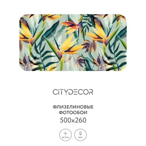 Фотообои рулонные Citydecor Абстракция 67 на флизелиновой основе 500x260 см