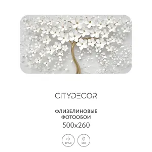 Фотообои рулонные Citydecor Абстракция 7 3D на флизелиновой основе 500x260 см