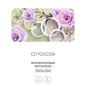 Фотообои рулонные Citydecor Абстракция 70 на флизелиновой основе 500x260 см