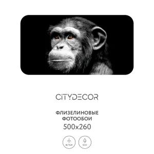Фотообои рулонные Citydecor Животные и Птицы 5 на флизелиновой основе 500x260 см Фотообои рулонные Citydecor Животные и Птицы 5 на флизелиновой основе 500x260 см