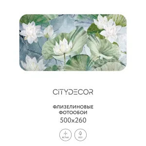 Дизайнерские фотообои рулонные Citydecor Blossom 26 на флизелиновой основе 500x260 см