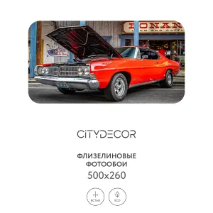 Фотообои рулонные Citydecor Транспорт 149 на флизелиновой основе 500x260 см