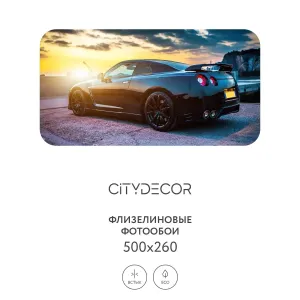 Фотообои рулонные Citydecor Транспорт 26 на флизелиновой основе 500x260 см