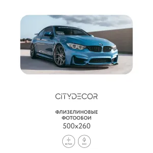 Фотообои рулонные Citydecor Транспорт 30 на флизелиновой основе 500x260 см