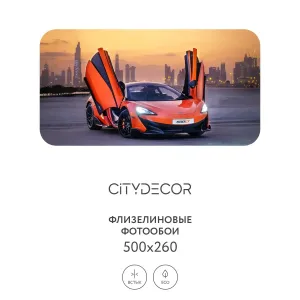Фотообои рулонные Citydecor Транспорт 5 на флизелиновой основе 500x260 см
