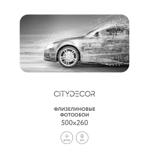 Фотообои рулонные Citydecor Транспорт 7 на флизелиновой основе 500x260 см