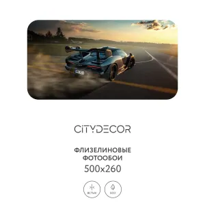 Фотообои рулонные Citydecor Транспорт 8 на флизелиновой основе 500x260 см