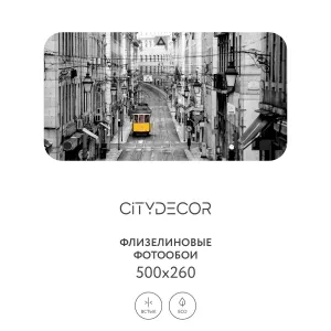 Фотообои рулонные Citydecor Города и Архитектура 51 на флизелиновой основе 500x260 см