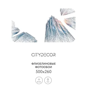 Фотообои рулонные Citydecor Города и Архитектура 78 на флизелиновой основе 500x260 см