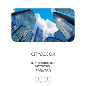 Фотообои рулонные Citydecor Города и Архитектура 79 на флизелиновой основе 500x260 см