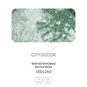 Дизайнерские фотообои рулонные Citydecor Dark Side 33 на флизелиновой основе 500x260 см