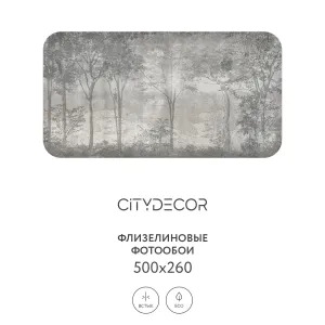 Дизайнерские фотообои рулонные Citydecor Dark Side 34 на флизелиновой основе 500x260 см