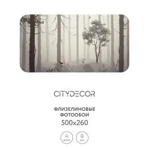 Дизайнерские фотообои рулонные Citydecor Dark Side 35 на флизелиновой основе 500x260 см