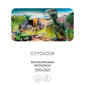 Фотообои рулонные Citydecor Детская 347 на флизелиновой основе 500x260 см