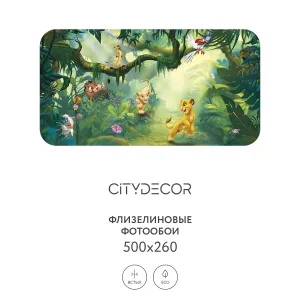 Фотообои рулонные Citydecor Детская 363 на флизелиновой основе 500x260 см