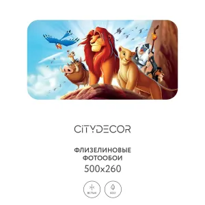 Фотообои рулонные Citydecor Детская 371 на флизелиновой основе 500x260 см