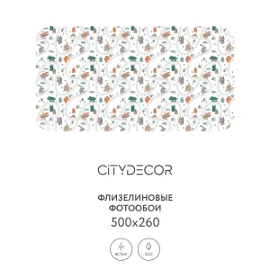 Фотообои рулонные Citydecor Детская 373 на флизелиновой основе 500x260 см