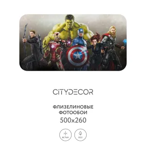 Фотообои рулонные Citydecor Детская 378 на флизелиновой основе 500x260 см