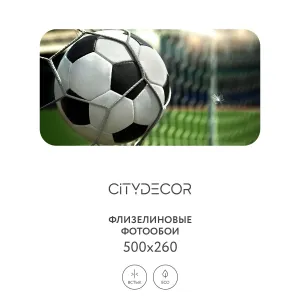 Фотообои рулонные Citydecor Детская 379 на флизелиновой основе 500x260 см