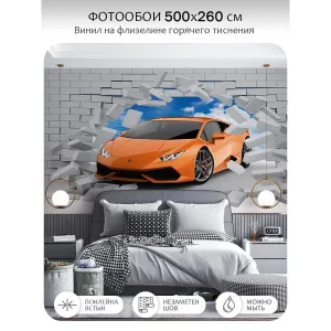 Фотообои рулонные Citydecor Детская 439 на флизелиновой основе 500x260 см