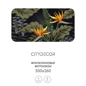 Фотообои рулонные Citydecor Цветы и Растения 122 на флизелиновой основе 500x260 см