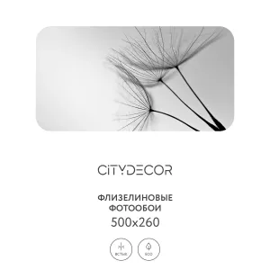 Фотообои рулонные Citydecor Цветы и Растения 138 на флизелиновой основе 500x260 см