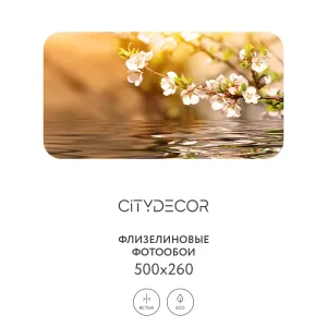 Фотообои рулонные Citydecor Цветы и Растения 151 на флизелиновой основе 500x260 см