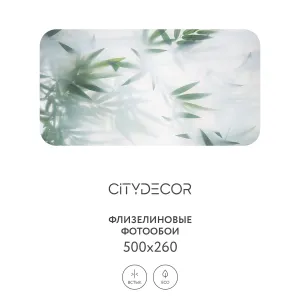 Фотообои рулонные Citydecor Цветы и Растения 153 на флизелиновой основе 500x260 см