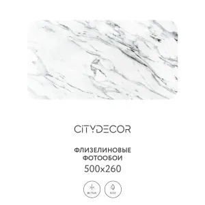 Фотообои рулонные Citydecor Флюид Арт 69 на флизелиновой основе 500x260 см