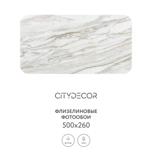 Фотообои рулонные Citydecor Флюид Арт 74 на флизелиновой основе 500x260 см