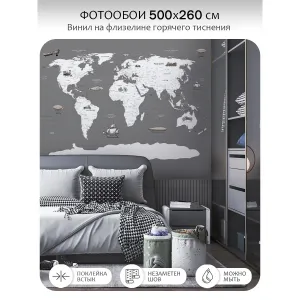 Фотообои рулонные Citydecor Карта мира 13 на флизелиновой основе 500x260 см