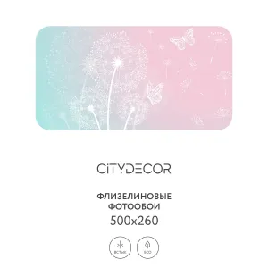 Фотообои рулонные Citydecor Невесомость 1 на флизелиновой основе 500x260 см