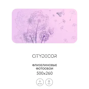 Фотообои рулонные Citydecor Невесомость 10 на флизелиновой основе 500x260 см