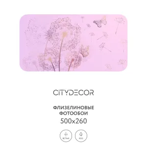 Фотообои рулонные Citydecor Невесомость 11 на флизелиновой основе 500x260 см