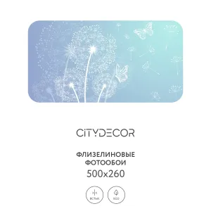 Фотообои рулонные Citydecor Невесомость 2 на флизелиновой основе 500x260 см