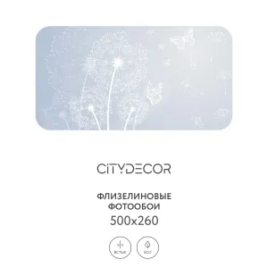 Фотообои рулонные Citydecor Невесомость 3 на флизелиновой основе 500x260 см